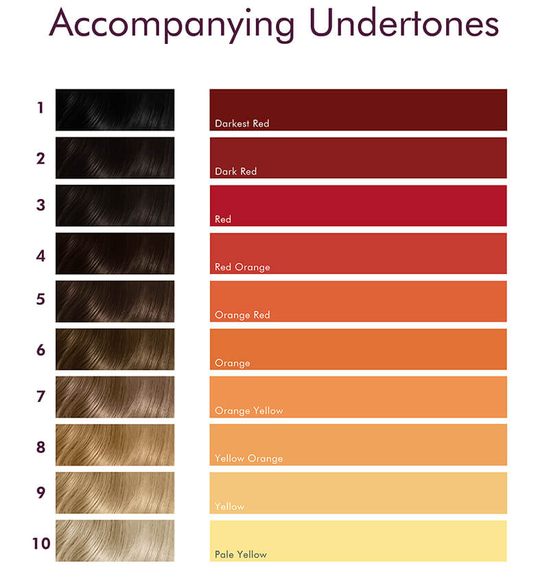 hair color 2022 chart